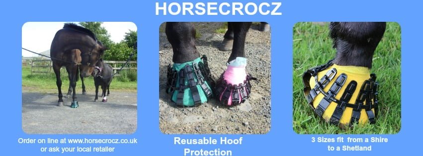 abscess boot for horses