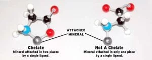 mineral cheleates